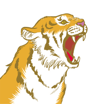 虎 イラスト イラスト 絵画 リアルタッチ の画像素材 生き物 イラスト Cgの美術 歴史写真ならイメージナビ