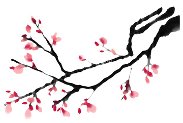 水墨画 花 梅 梅の木】の画像素材 | 花・植物・イラスト・CGの 水墨画 花 梅 梅の木】の画像素材 | 花・植物・イラスト・CGの