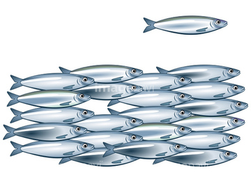 魚 イラスト 青魚 サバ イワシ ロイヤリティフリー の画像素材