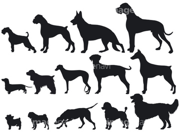 犬 イラスト ドーベルマン プードル ロイヤリティフリー の画像素材 生き物 イラスト Cgのイラスト素材ならイメージナビ