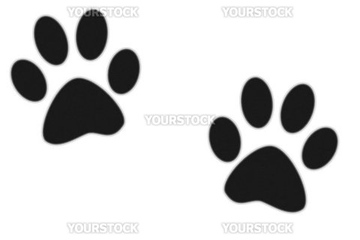 犬 足跡 の画像素材 生き物 イラスト Cgの写真素材ならイメージナビ