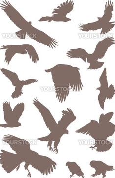 鳥 シルエット フクロウ の画像素材 季節 イベント イラスト Cgの写真素材ならイメージナビ