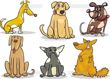 小型犬 イラスト スピッツ の画像素材 陸の動物 生き物のイラスト素材ならイメージナビ