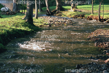 藻琴川 の画像素材 川 湖沼 自然 風景の写真素材ならイメージナビ