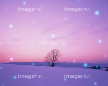 夕焼け空 ピンク色 幻想的 曇り 天気 の画像素材 海 自然 風景の写真素材ならイメージナビ