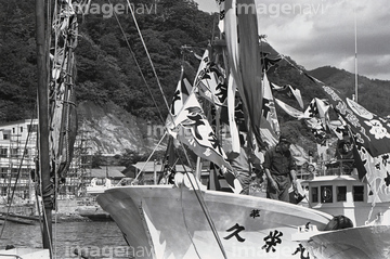 大漁旗 多い の画像素材 日本 国 地域の写真素材ならイメージナビ