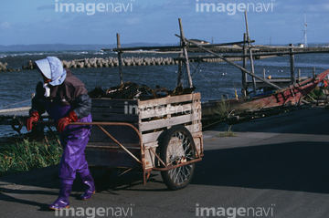 リヤカー の画像素材 サービス業 産業 環境問題の写真素材ならイメージナビ
