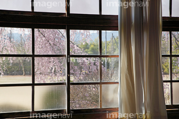 格子窓 春 の画像素材 住宅 インテリアの写真素材ならイメージナビ