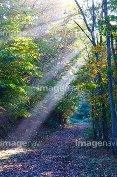 光が射す の画像素材 空 自然 風景の写真素材ならイメージナビ