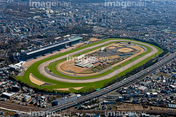 東京競馬場 の画像素材 日本 国 地域の写真素材ならイメージナビ