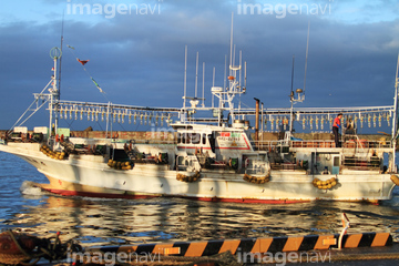イカ釣り船 の画像素材 海路 水路 乗り物 交通の写真素材ならイメージナビ
