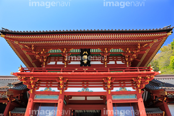 鶴岡八幡宮 の画像素材 日本 国 地域の写真素材ならイメージナビ