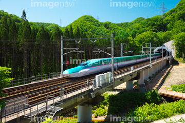 北海道新幹線 の画像素材 花 植物 イラスト Cgの写真素材ならイメージナビ