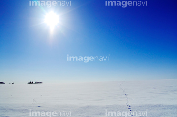 空 昼 晴れ 明るい 明暗 雪晴れ の画像素材 大地 自然 風景の写真素材ならイメージナビ