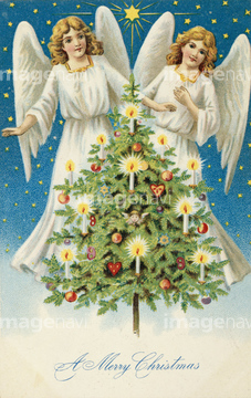 天使 の画像素材 クリスマス 行事 祝い事の写真素材ならイメージナビ