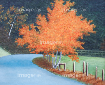 季節のイラスト 秋の風景 綺麗 北アメリカ イラスト の画像素材 住宅地 町並 建築のイラスト素材ならイメージナビ