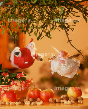 ヤドリギ クリスマスツリー の画像素材 クリスマス 行事 祝い事の写真素材ならイメージナビ