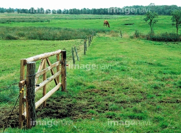 【自然・風景 > 大地 > 草原】の画像素材 | 写真素材ならイメージナビ