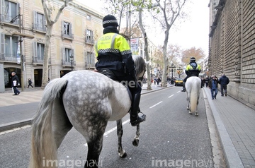 警察官 騎馬警官 の画像素材 家畜 生き物の写真素材ならイメージナビ