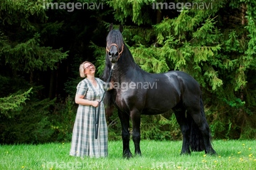 馬 撫でる 競走馬 の画像素材 家畜 生き物の写真素材ならイメージナビ