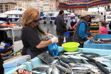 魚市場 ヨーロッパ フランス の画像素材 海路 水路 乗り物 交通の写真素材ならイメージナビ