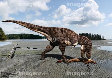 モササウルス の画像素材 生き物 イラスト Cgの写真素材ならイメージナビ