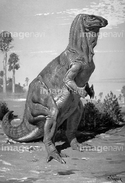 イメージナビ 恐竜図鑑 ブランド検索の写真素材 写真素材 ストックフォトのimagenavi