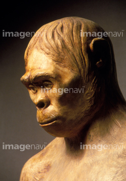 原始人 原人 の画像素材 構図 人物の写真素材ならイメージナビ