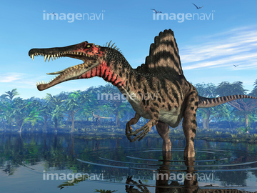 スピノサウルス の画像素材 生き物 イラスト Cgの写真素材ならイメージナビ