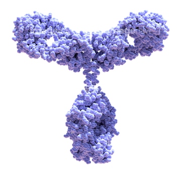 モノクローナル抗体 の画像素材 科学 テクノロジーの写真素材ならイメージナビ