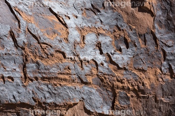 砂漠ニス の画像素材 北米 国 地域の写真素材ならイメージナビ