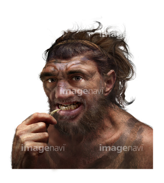 学校 教育向け 社会科歴史 原始人のイラスト 人類の進化 顔 イラスト の画像素材 生き物 イラスト Cgの写真素材ならイメージナビ