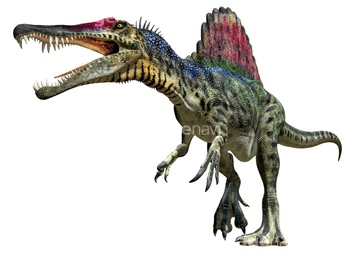スピノサウルス の画像素材 生き物 イラスト Cgの写真素材なら