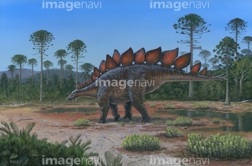 恐竜 絶滅 ステゴサウルス の画像素材 生き物 イラスト Cgの写真素材ならイメージナビ