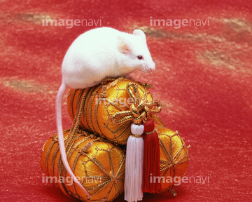 米俵 ネズミ の画像素材 季節 イベント イラスト Cgの写真素材ならイメージナビ