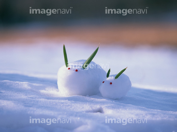 雪うさぎ の画像素材 テーマ イラスト Cgの写真素材ならイメージナビ