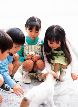 スカート しゃがむ 日本人 子供 年齢層 女の子 4人 の画像素材 写真素材ならイメージナビ