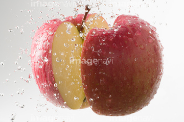 りんご 断面 果物 フジ リンゴ の画像素材 健康管理 ライフスタイルの写真素材ならイメージナビ