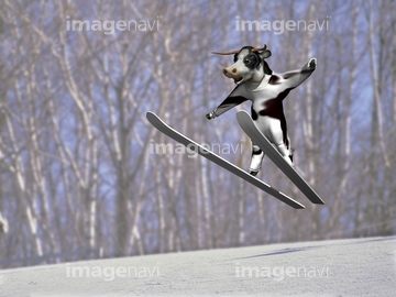 スキージャンプ選手 の画像素材 ウィンタースポーツ スポーツの写真素材ならイメージナビ