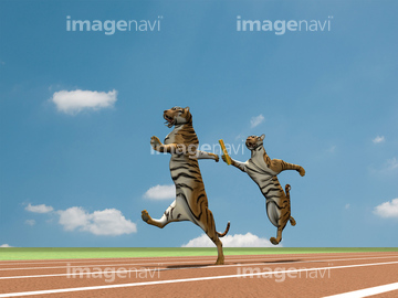 スポーツ 陸上競技 リレー バトンパス 陸上競技場 の画像素材 写真素材ならイメージナビ