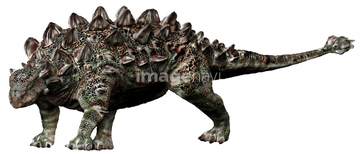 アンキロサウルス の画像素材 生き物 イラスト Cgの写真素材ならイメージナビ