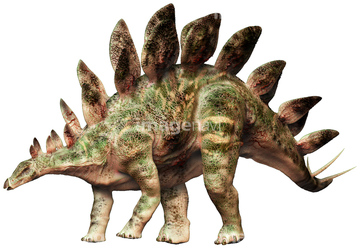 恐竜 の画像素材 生き物 イラスト Cgの写真素材ならイメージナビ