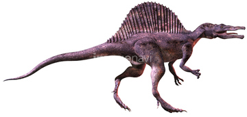 恐竜 スピノサウルス の画像素材 生き物 イラスト Cgの写真素材ならイメージナビ