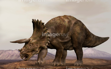 トリケラトプス の画像素材 生き物 イラスト Cgの写真素材ならイメージナビ