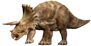 恐竜 の画像素材 生き物 イラスト Cgの写真素材ならイメージナビ