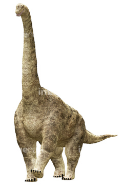 ブラキオサウルス の画像素材 生き物 イラスト Cgの写真素材ならイメージナビ