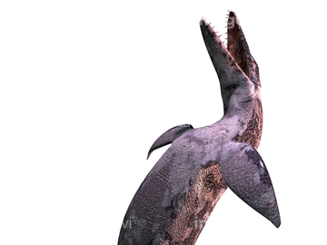 モササウルス の画像素材 生き物 イラスト Cgの写真素材ならイメージナビ