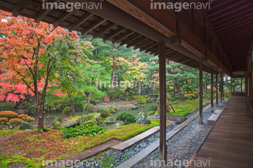 住宅 インテリア 住宅 豪邸 庭 日本庭園 北方文化博物館 の画像素材 写真素材ならイメージナビ