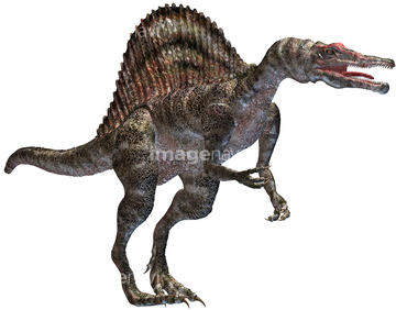 スピノサウルス の画像素材 生き物 イラスト Cgの写真素材なら