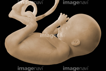 性器 子供 成長 の画像素材 病気 体調管理 人物の写真素材ならイメージナビ